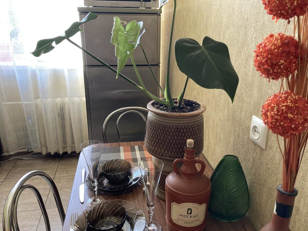 Апартаменты Apartment close to Roshen fountain Винница-14