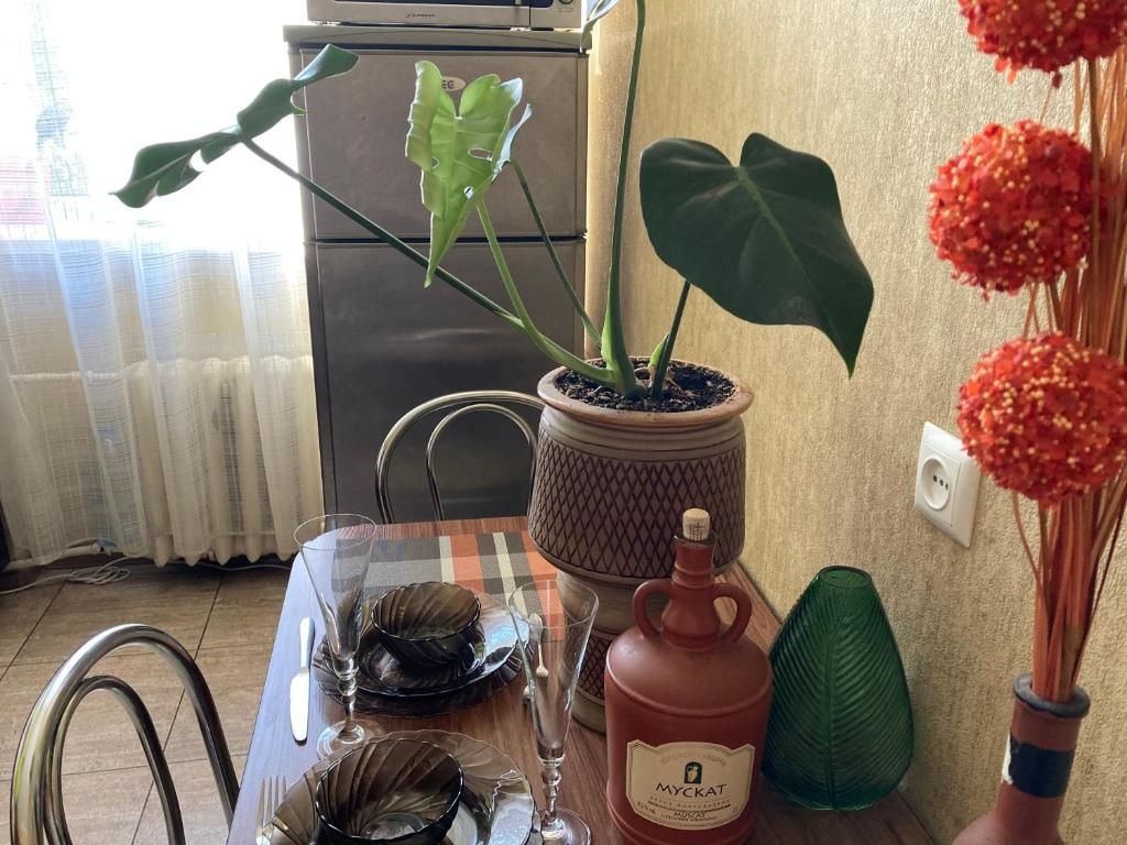 Апартаменты Apartment close to Roshen fountain Винница-50