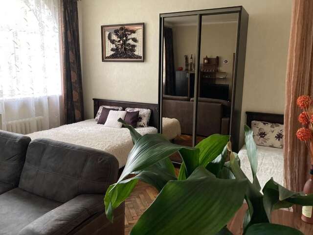 Апартаменты Apartment close to Roshen fountain Винница-33